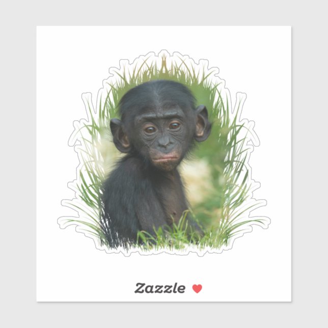 Sticker Bébé Bonobo Ape (Feuille)