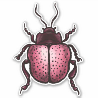 Sticker Beetle Rose Cute Bute Art - Insect Lover
