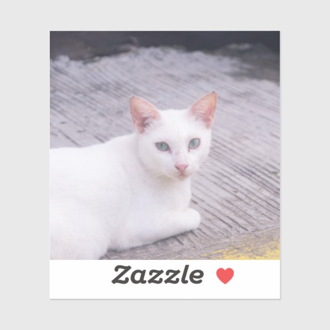 Sticker Belle Chat Blanc (Feuille)