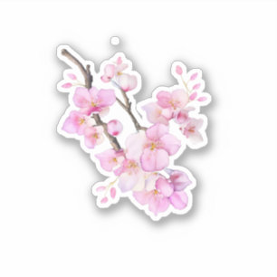Sticker Belle couleur rose cerise Sakura fleurs