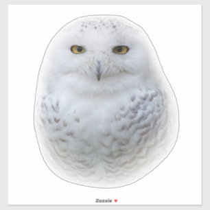 Sticker Belle, Dreamy et Serene Snowy Owl