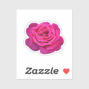 Sticker Belle rose rose