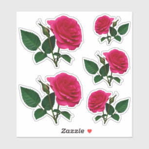 Sticker Belle rose rouge photo Transparent CC1145