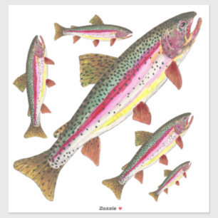 Sticker Belle truite arc-en-ciel = 5 images sur la même
