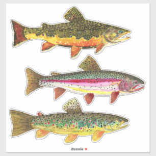 Sticker Belle truite - Brook, Brown, Rainbow Fishing