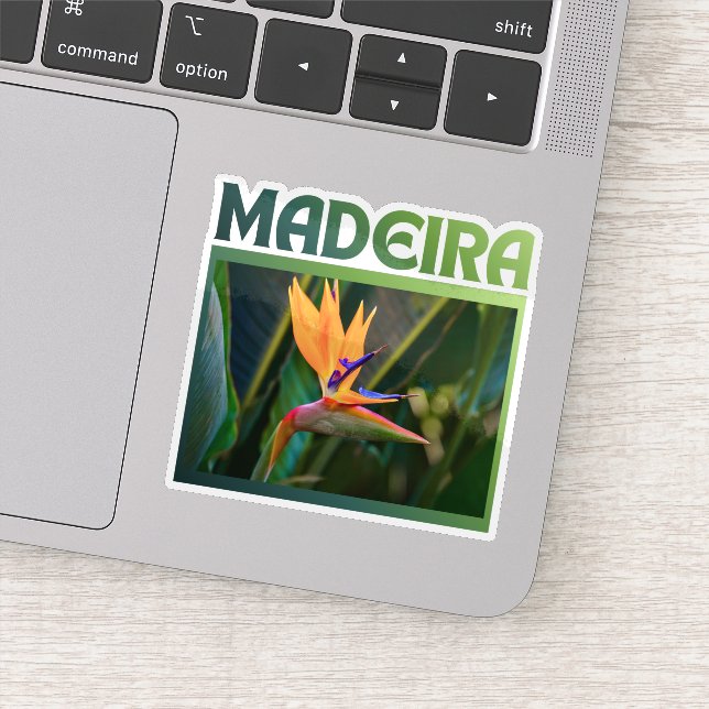 Sticker Bird of Paradise flower, Madeira Portugal travel (Détail)