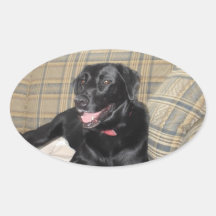 Sticker Black Lab