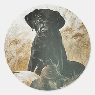STICKER Black Lab labrador récupérateur de leurre 