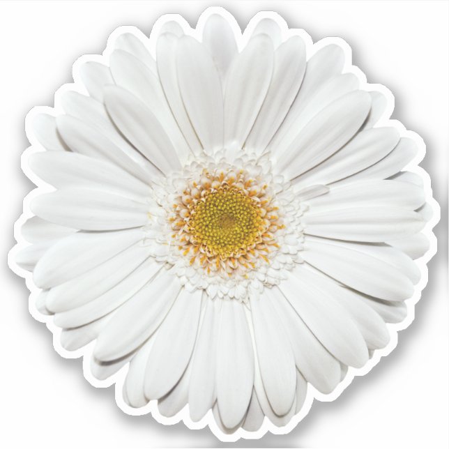 Sticker blanc Gerber Daisy Flower Kiss Cut (Devant)