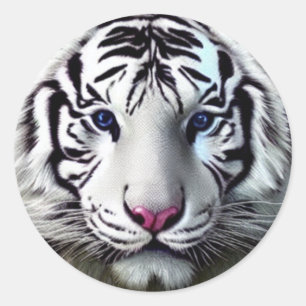 Sticker blanc Tiger Classic Round