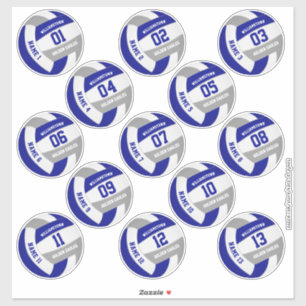 Sticker bleu gris école couleurs volleyball joueurs noms