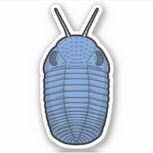 Sticker Bleu Phacops Trilobite - Vinyle animal préhistoriq
