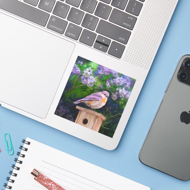 Sticker Bleuet de l'Est en neige - Photo originale (Ordinateur portable avec iPhone)