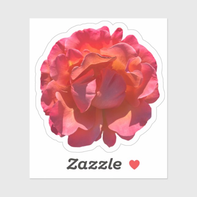 Sticker Blossom Rose de la pêche rouge (Feuille)
