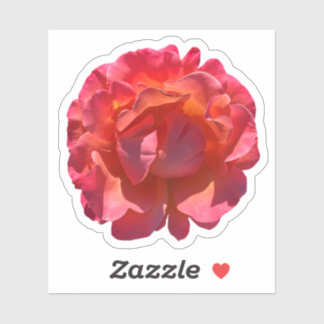 Sticker Blossom Rose de la pêche rouge