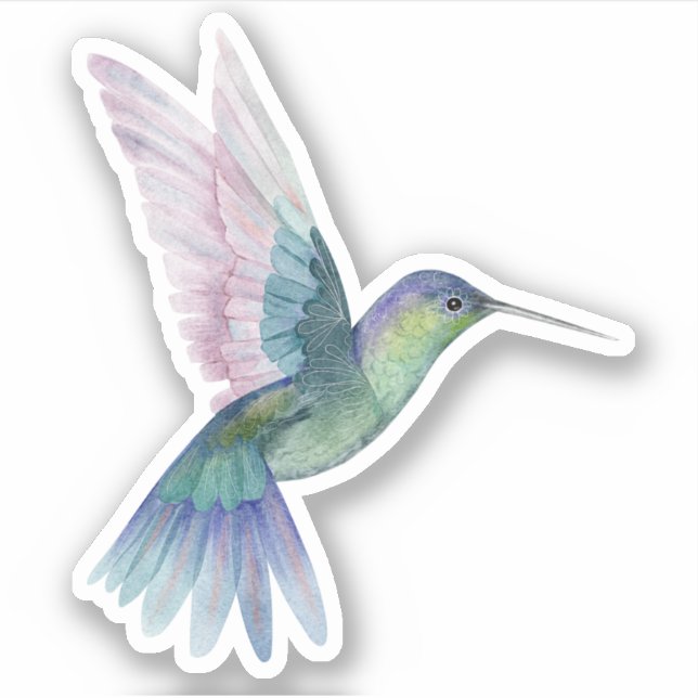 Sticker Blue Green Humminbird Nature (Devant)