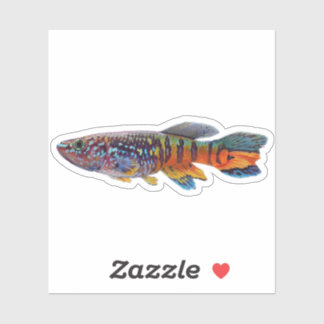 Sticker Blue gularis Fundulopanchax sjostedti killifish