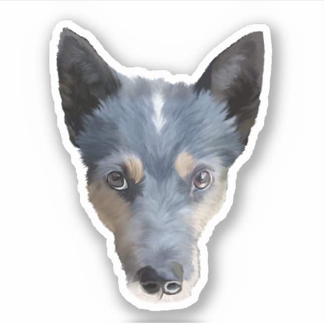 Sticker Blue Heeler / Australian Cattle Dog (Devant)