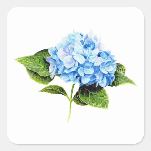 Sticker Blue Hydrangea (Devant)
