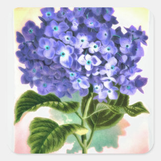 Sticker Blue Hydrangea