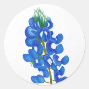 Sticker Bluebonnet étoile Lone