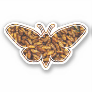Sticker Bombyx Mori Silk Moth Cycle de vie Silhouette