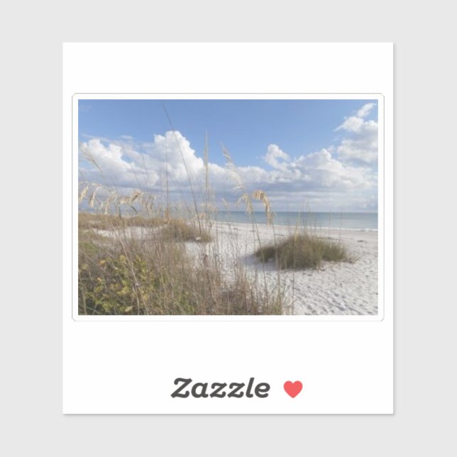 Sticker Bonita springs, floride (Feuille)