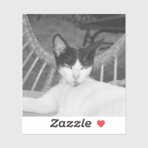 Sticker Bonjour, Meow...