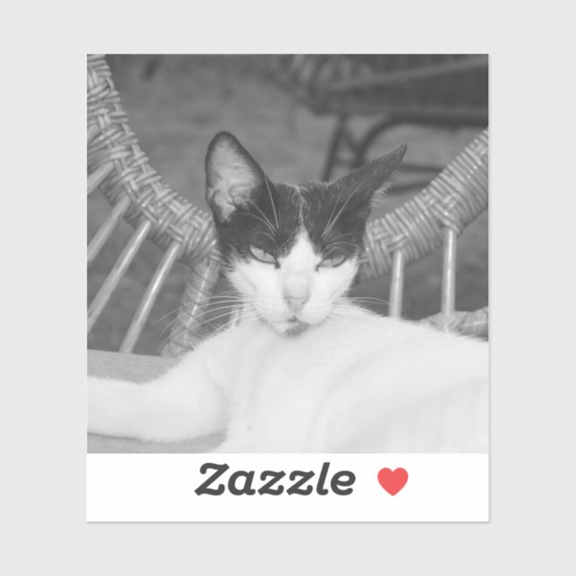 Sticker Bonjour, Meow... (Feuille)