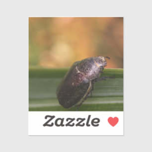 Sticker Bonjour tout le monde !