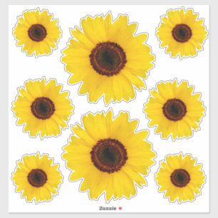 Sticker Bonus sur l'autocollant de contours des tournesols