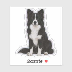 Sticker Border Collie assis