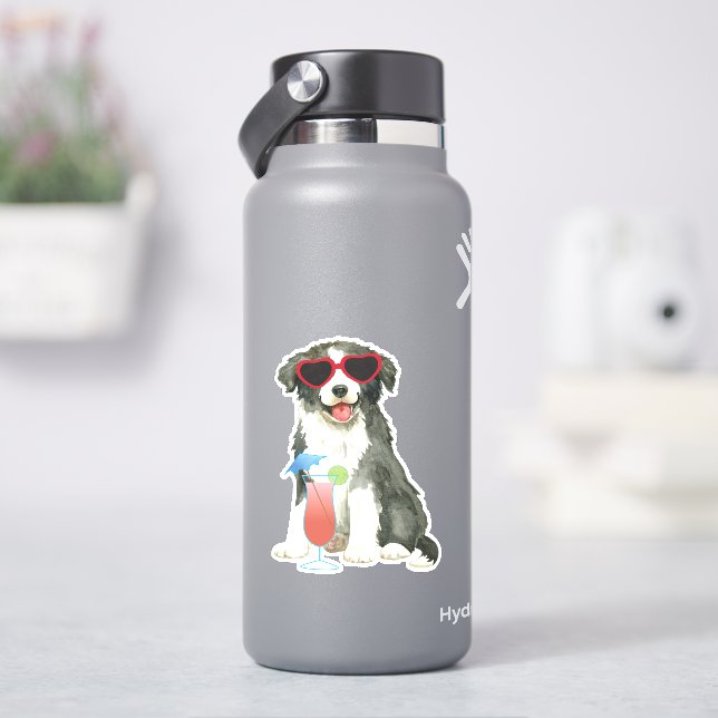 Sticker Bordure d'été Collie Vinyl (HydroFlask)