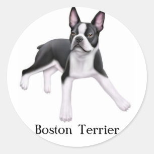 Sticker Boston Terrier