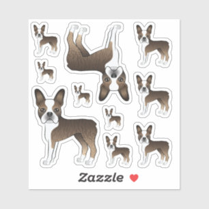 Sticker Boston Terrier Bringé Et Blanc Chiens De Dessin An