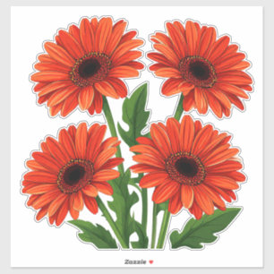 Sticker Bouquet de gerbera rouge vif