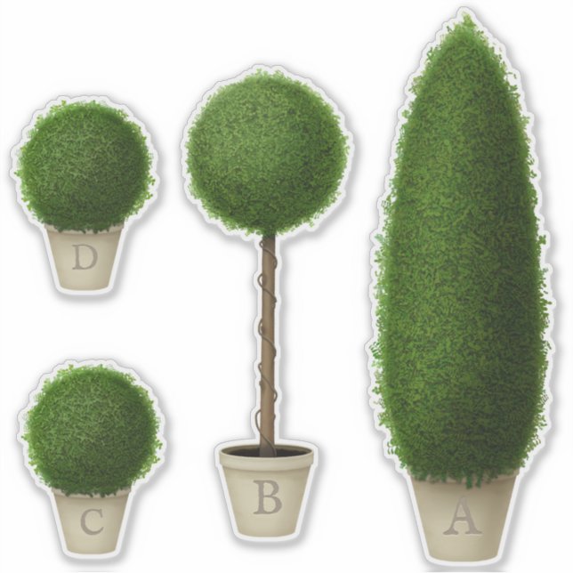 Sticker Boxwood Topior Plante Monogramme Alphabet personna (Devant)