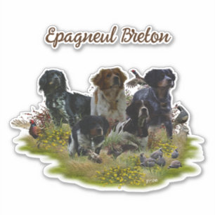 Sticker Bretagne Espagnols, chasse aux oiseaux