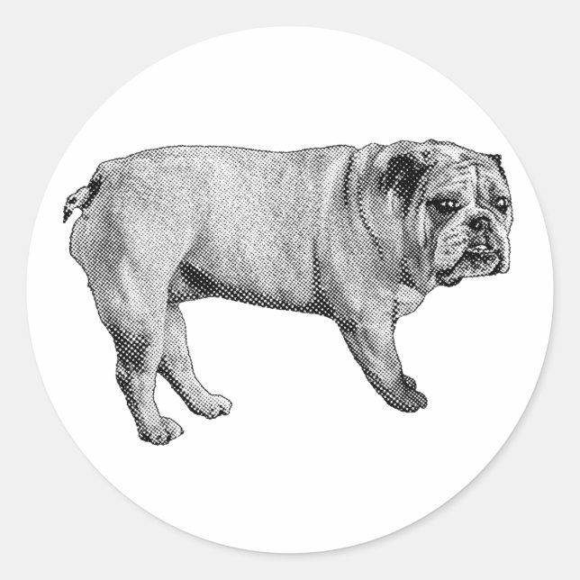 Sticker Bulldog à neige (Devant)