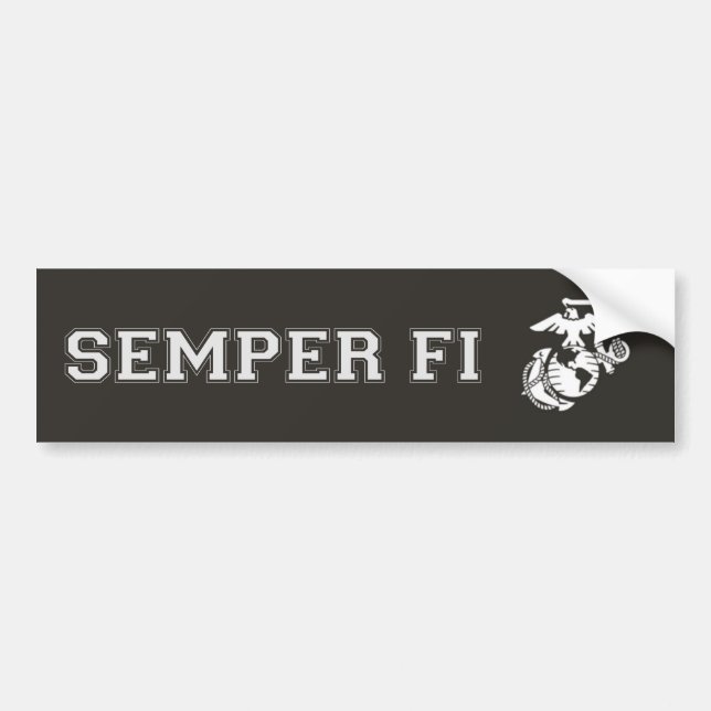 Sticker Bumpern (Devant)