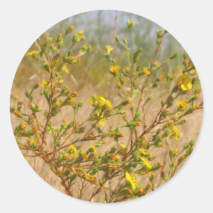 Sticker Bush Fleurs Jaunes