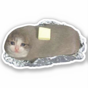 Sticker Butta Chat Mème
