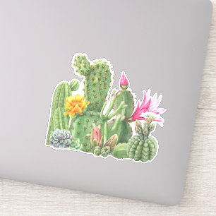 Sticker Cactus Blooming Garden Aquarelle Sud-Ouest Désert