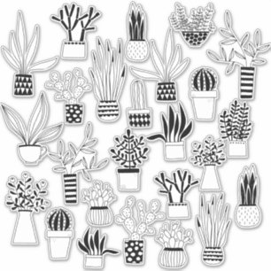 Sticker Cactus et succulents