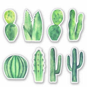 Sticker Cactus vert aquarelle. Succulents. Botanique