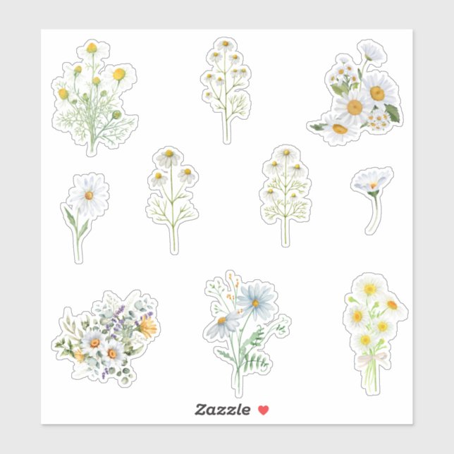 Sticker Camomille flowers (Feuille)