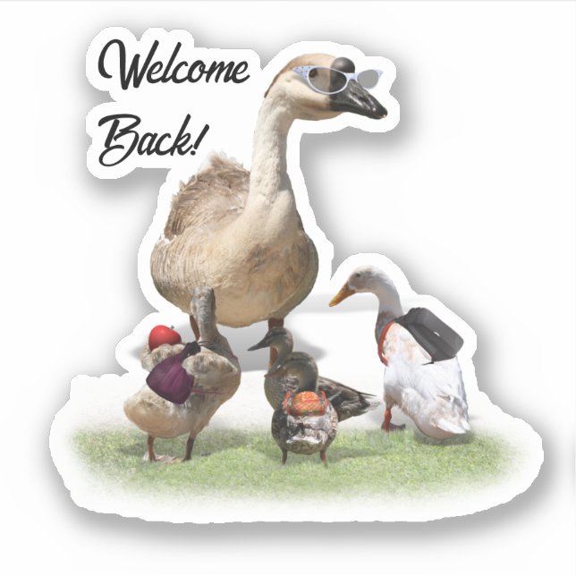 Sticker Canards de rentrée scolaire (Devant)