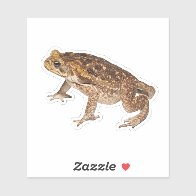 Sticker Canne Toad (Feuille)