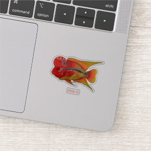 Sticker Caricature de poisson cichlide à fleur