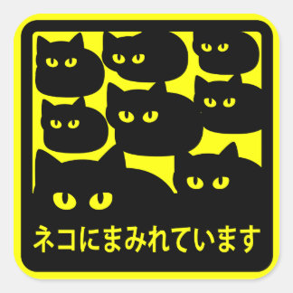 STICKER CARRÉ ステッカー　「ネコにまみれています」イエロー